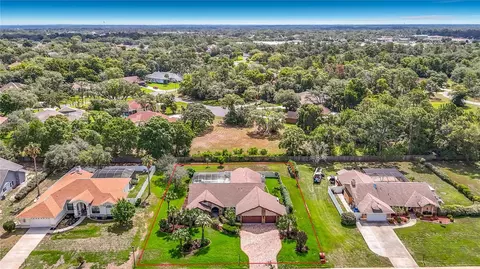 View/Area - 4306 River Birch Dr, Weeki Wachee, FL 34607 photo 4 of 8