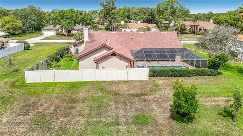 View/Area - 4306 River Birch Dr, Weeki Wachee, FL 34607 photo 5 of 8