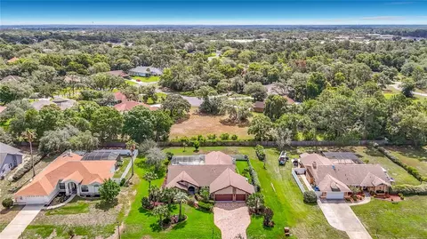 View/Area - 4306 River Birch Dr, Weeki Wachee, FL 34607 photo 3 of 8