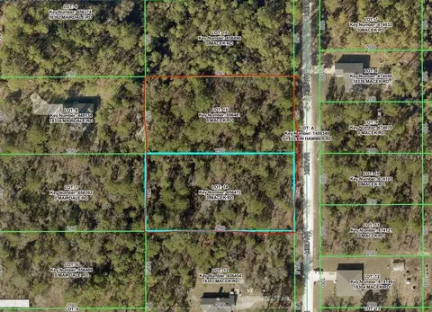 18315 Macek Rd, Weeki Wachee, FL 34614
