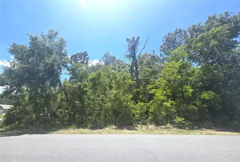 Dunkirk Road, Spring Hill, FL 34608 photo 3