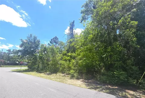 Dunkirk Road, Spring Hill, FL 34608 photo 5