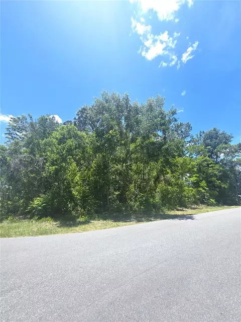 Dunkirk Road, Spring Hill, FL 34608 photo 8