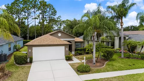 1335 Hickory Moss Pl, Trinity, FL 34655