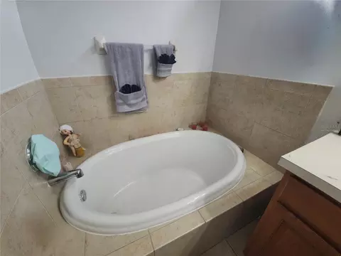 Bath - 8604 Tidal Breeze Dr, Riverview, FL 33569 photo 4 of 4