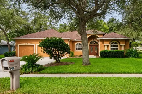 18915 Bascomb Ln, Hudson, FL 34667