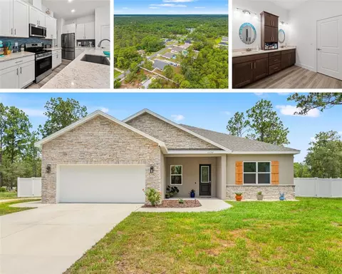 11153 Wood Owl Ave, Weeki Wachee, FL 34614