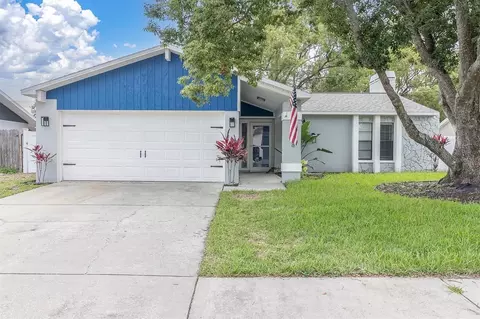 8038 Buttonball Ln, Port Richey, FL 34668