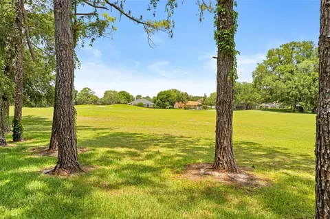 14425 Sterling Run, Spring Hill, FL 34609 photo 62