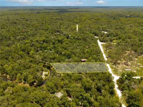 7337 Riverview Dr, Webster, FL 33597 photo 3