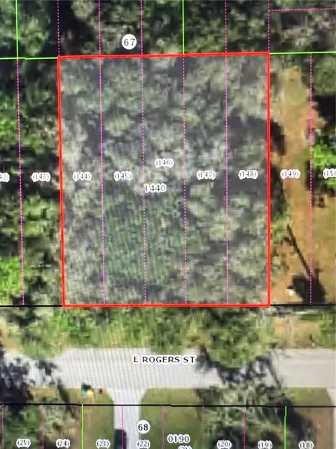 3419 E Rogers St, Inverness, FL 34453