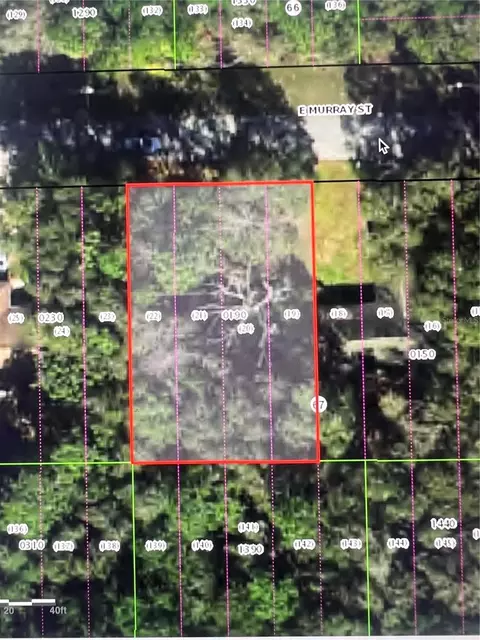 3404 E Murray St, Inverness, FL 34453