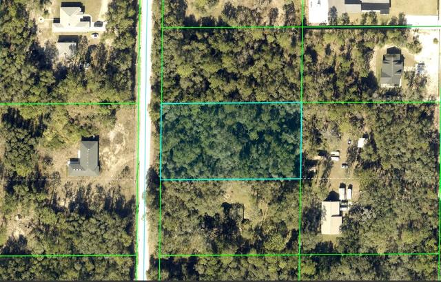 Alloy Street, Webster, FL 33597