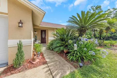 2437 Hawk Ave, Palm Harbor, FL 34683