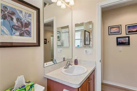 Bath - 363 Quane Ave, Spring Hill, FL 34609 photo 7 of 7