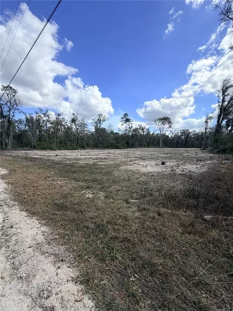 163 NE 159th Ave, Old Town, FL 32680
