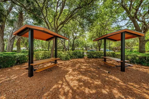 Exterior - 10643 Eveningwood Ct, Trinity, FL 34655 photo 7 of 8