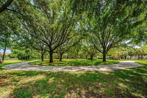 View/Area - 10643 Eveningwood Ct, Trinity, FL 34655 photo 14 of 16