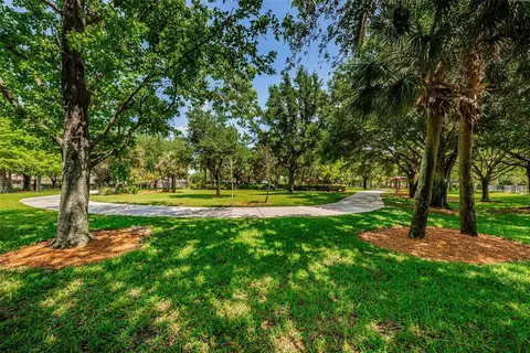 Other - 10643 Eveningwood Ct, Trinity, FL 34655 photo 24 of 24