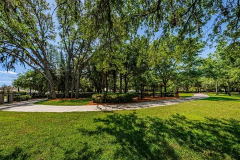 Other - 10643 Eveningwood Ct, Trinity, FL 34655 photo 18 of 24