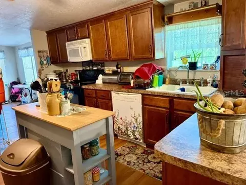 11340 SW 28th Way, Webster, FL 33597 photo 7