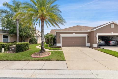 20823 Jaffa Ln, Land O Lakes, FL 34637