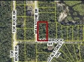 9028 Realstone Dr, Webster, FL 33597