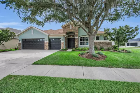 1629 Salmonberry St, Wesley Chapel, FL 33543