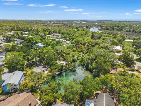 View/Area - 6053 Palm Creek Dr, Weeki Wachee, FL 34607 photo 7 of 10