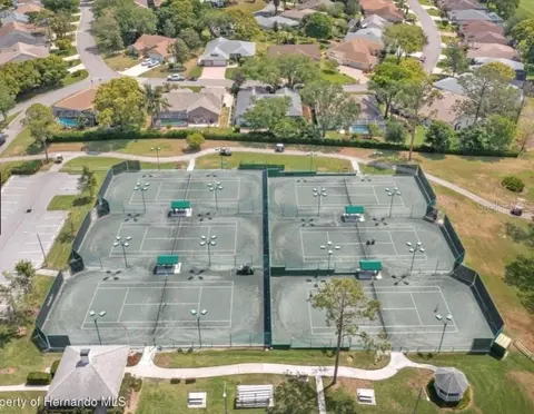 View/Area - 2102 Forester Way, Spring Hill, FL 34606 photo 9 of 23