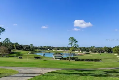 View/Area - 2102 Forester Way, Spring Hill, FL 34606 photo 8 of 23