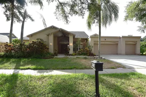 4763 Brayton Ter N, Palm Harbor, FL 34685