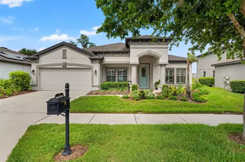 8320 Bluevine Sky Dr, Land O Lakes, FL 34637