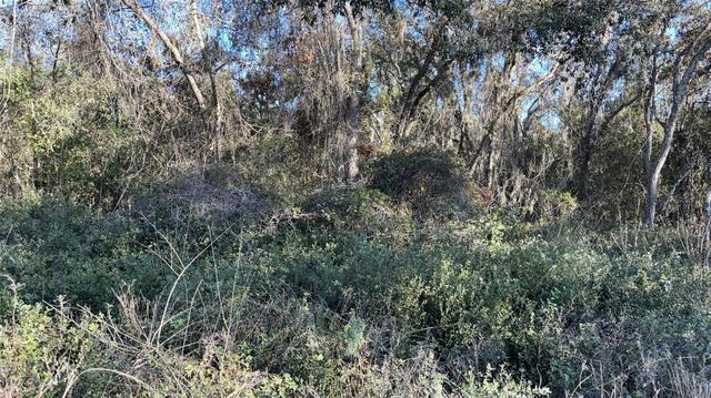 0 Bountybarrett, New Port Richey, FL 34654