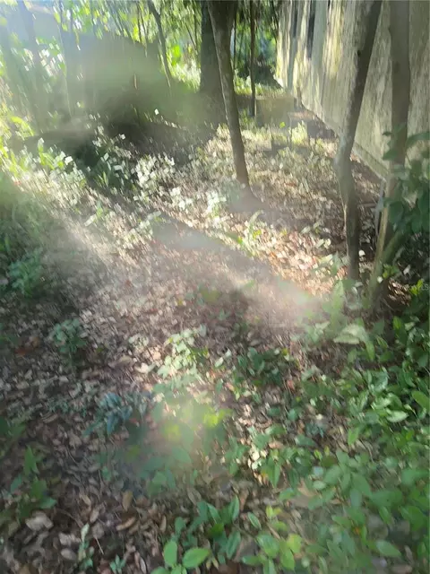 Other - 1128 N Jackson Ave S, Spring Hill, FL 34604 photo 1 of 3