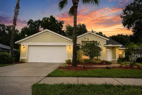 24449 Painter Dr, Land O Lakes, FL 34639