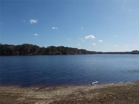 View/Area - 12199 SW 44th Dr, Webster, FL 33597 photo 1 of 5