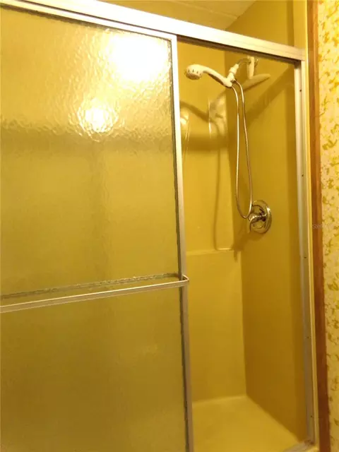 Bath - 12199 SW 44th Dr, Webster, FL 33597 photo 4 of 6