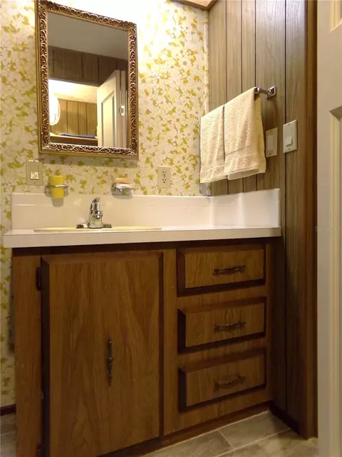 Bath - 12199 SW 44th Dr, Webster, FL 33597 photo 3 of 6