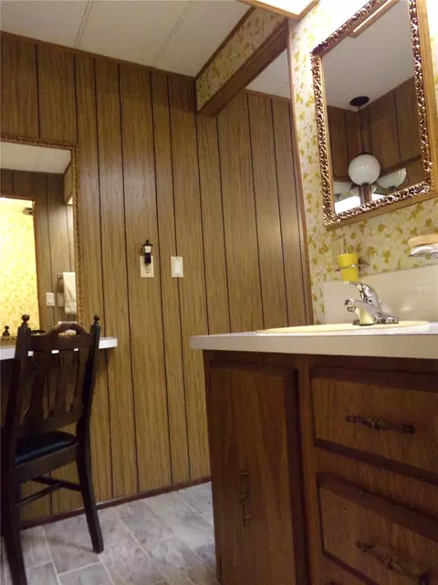 Bath - 12199 SW 44th Dr, Webster, FL 33597 photo 1 of 6