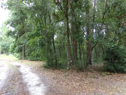 Exterior - 12199 SW 44th Dr, Webster, FL 33597 photo 14 of 16
