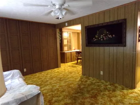 Living - 12199 SW 44th Dr, Webster, FL 33597 photo 2 of 3