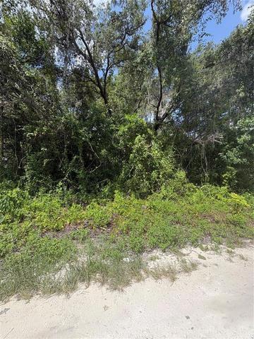Spare Drive, New Port Richey, FL 34654