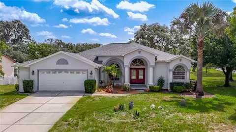 8206 Pinehurst Dr, Spring Hill, FL 34606 photo 1