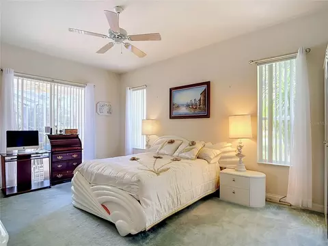 8206 Pinehurst Dr, Spring Hill, FL 34606 photo 47