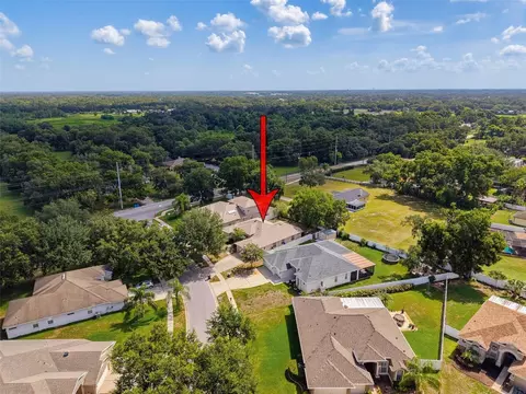 View/Area - 2021 Rutherford Dr, Dover, FL 33527 photo 2 of 5