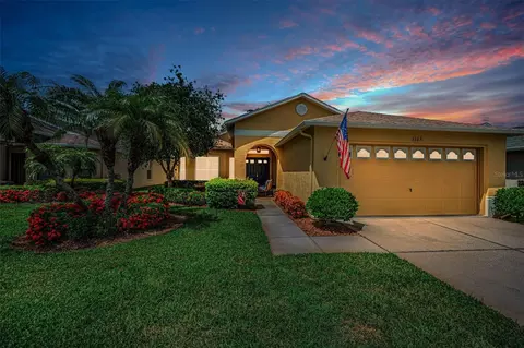 1323 Winding Willow Dr, Trinity, FL 34655