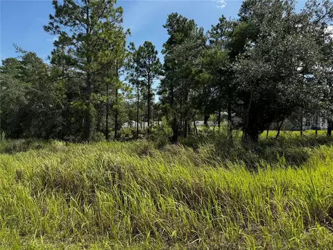 lot14 Barnevelde Rd, Weeki Wachee, FL 34614