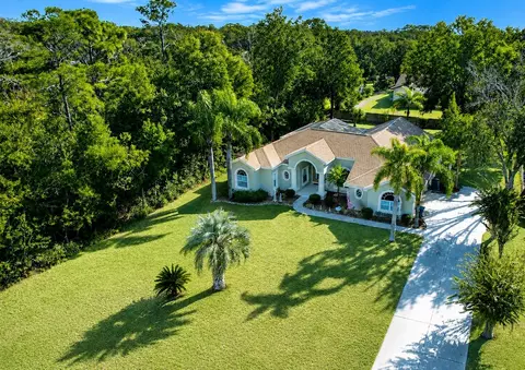 View/Area - 7552 River Country Dr, Weeki Wachee, FL 34607 photo 2 of 7