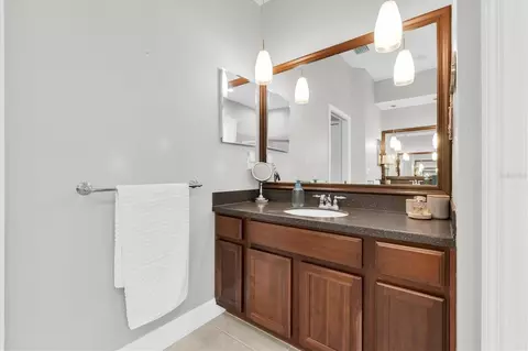 Bath - 1805 Mountain Ash Way, Trinity, FL 34655 photo 2 of 6